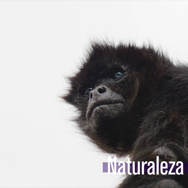 Naturaleza