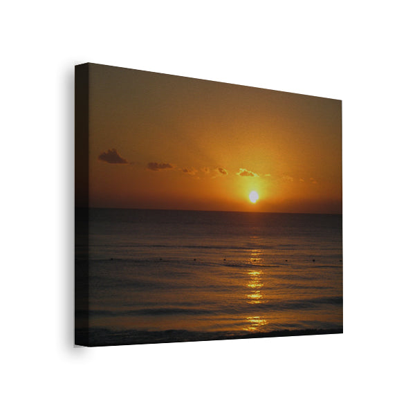 Renovación | María Salazar