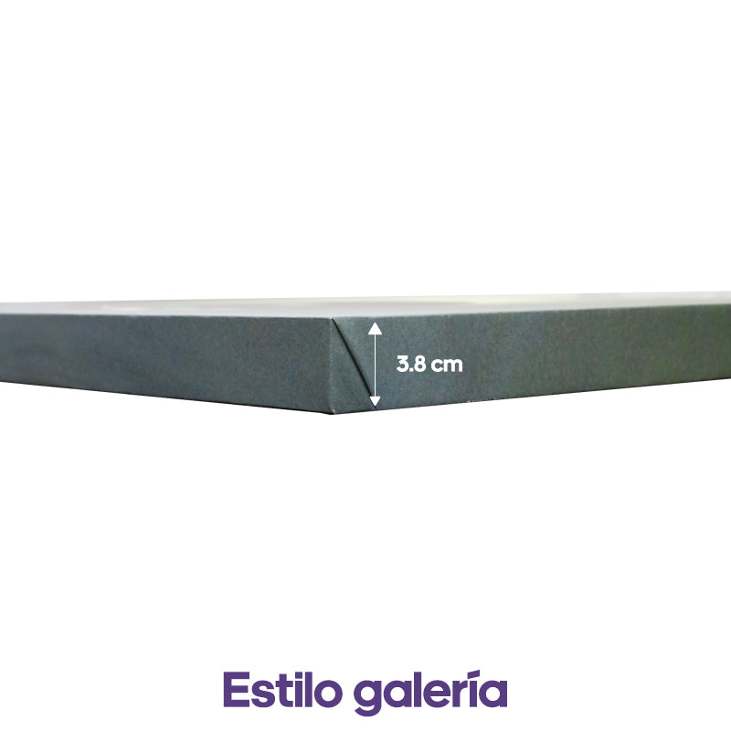 Vértigo | Daniel Apolinar