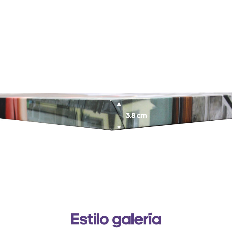 Organillero | Cristian Arias