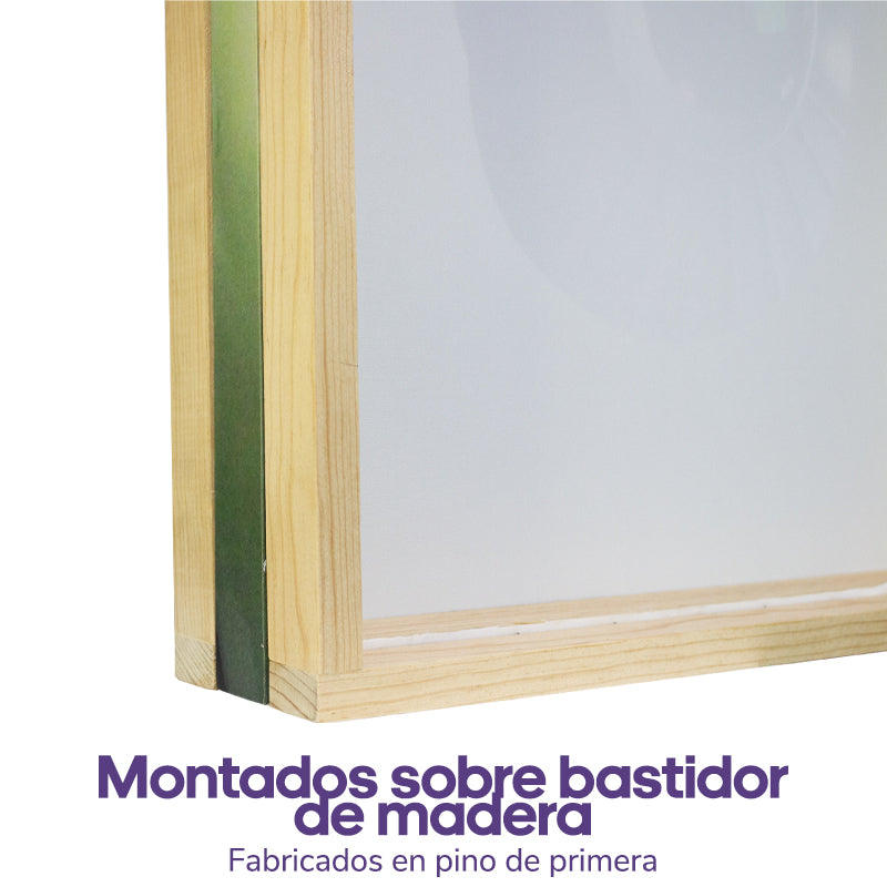 Vértigo | Daniel Apolinar