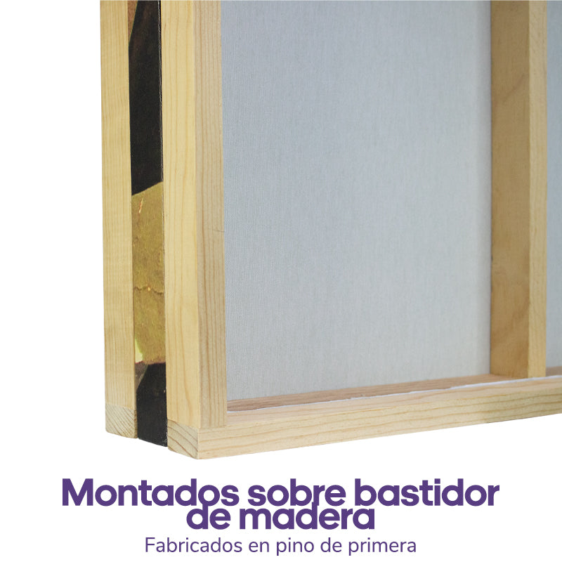 Arte con historia | Abraham Sorchini