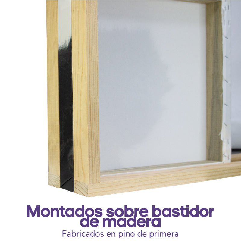 Mirando al horizonte | Miguel Fabián